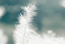 皇马守门员神勇出击，关键时刻扑出点球！