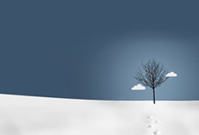 葡超真核代替瓦科？鲁能新星该租就租该卖就卖吧！方昊们太幸运了