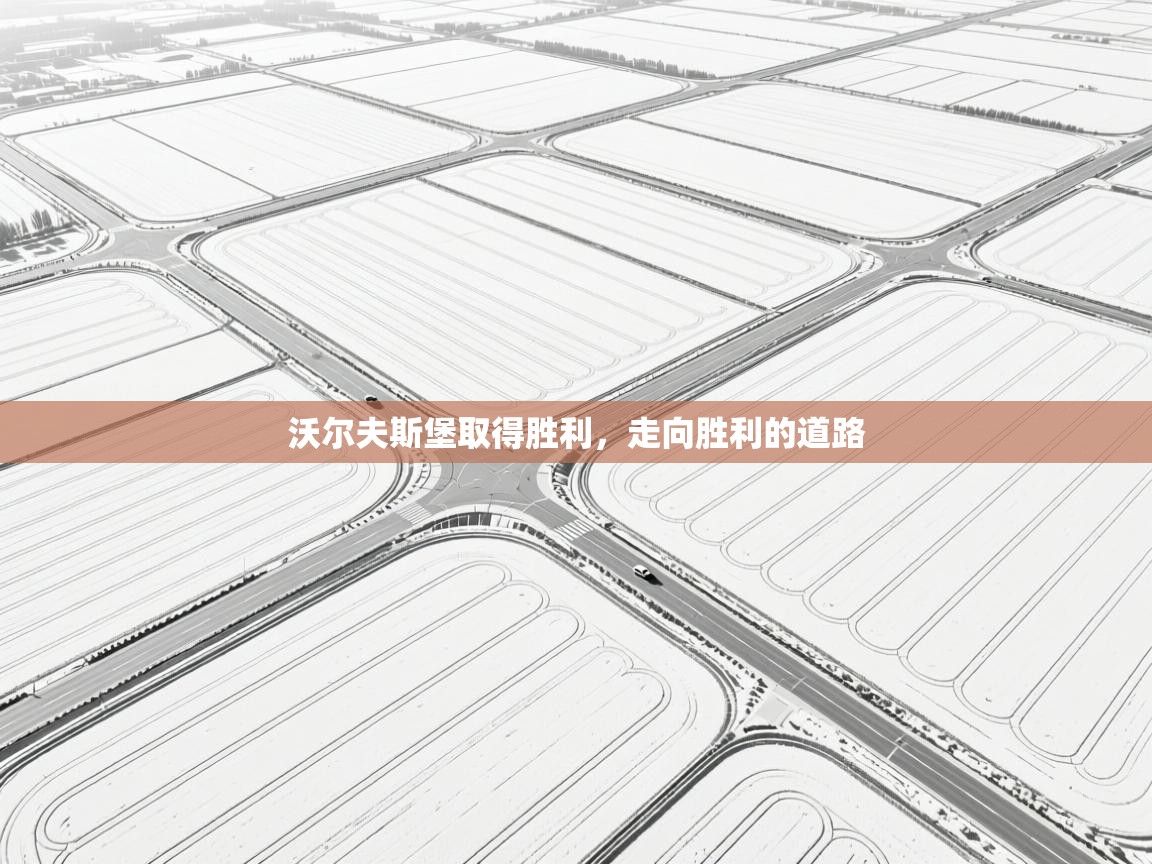 沃尔夫斯堡取得胜利，走向胜利的道路  第1张