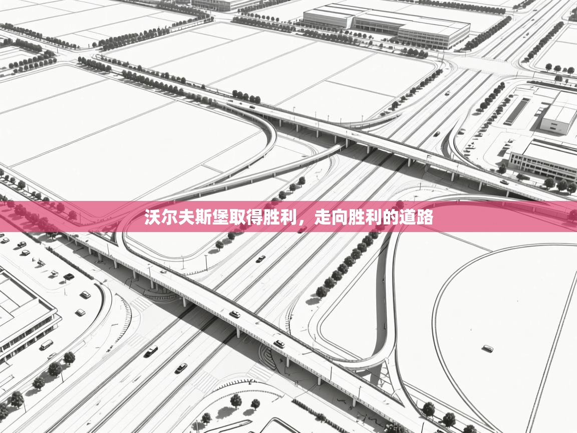 沃尔夫斯堡取得胜利，走向胜利的道路  第2张
