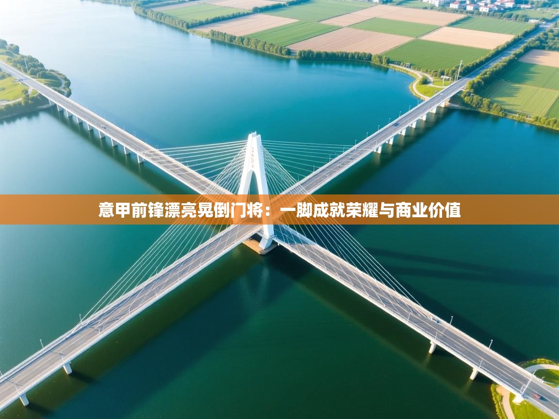 意甲前锋漂亮晃倒门将：一脚成就荣耀与商业价值  第1张