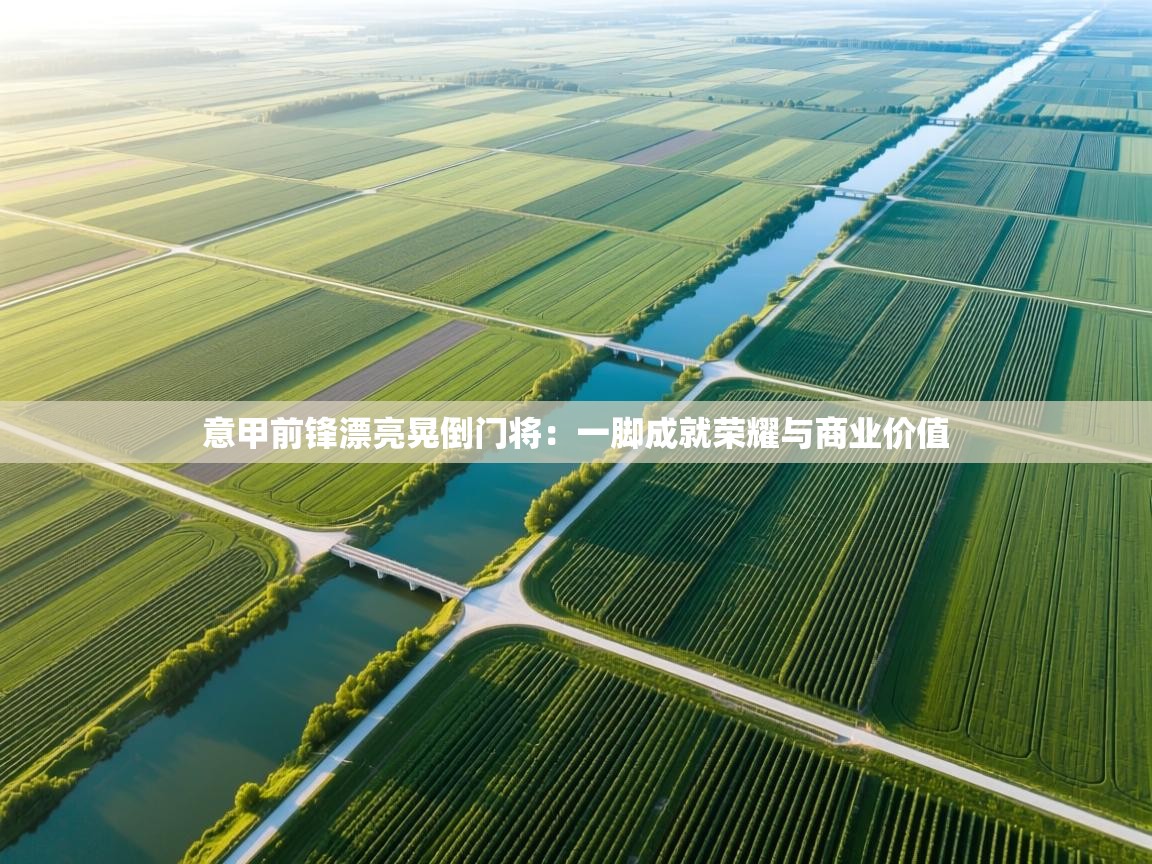 意甲前锋漂亮晃倒门将：一脚成就荣耀与商业价值  第2张